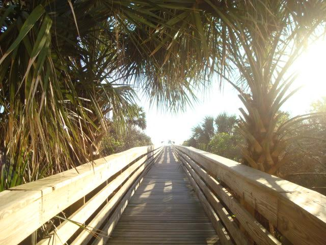 Transcendental Meditation for Women Center Palm Coast